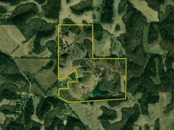 40548 Buck Branch Rd, Nebo, IL 62355