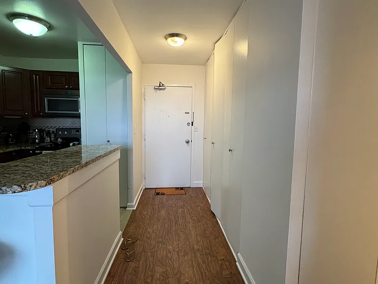 1455 N Sandburg Ter #1207 — Photo 15