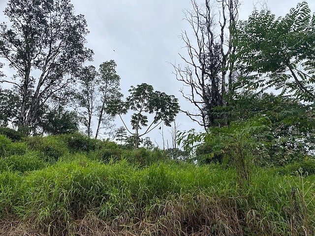 1st image of Paradise Dr Lot 24