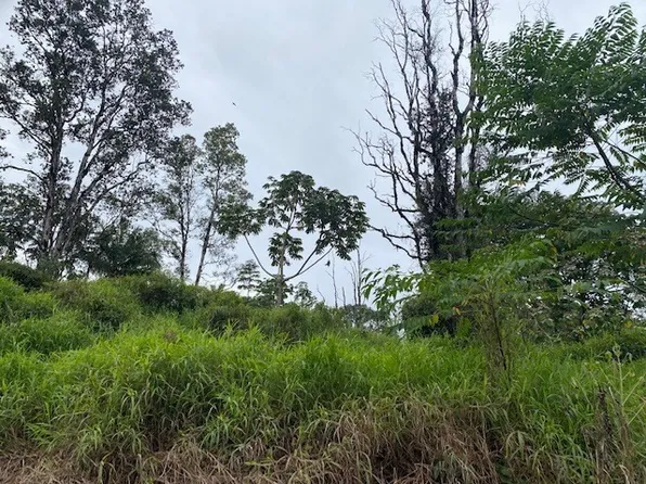 Paradise Dr Lot 24, Keaau, HI 96749