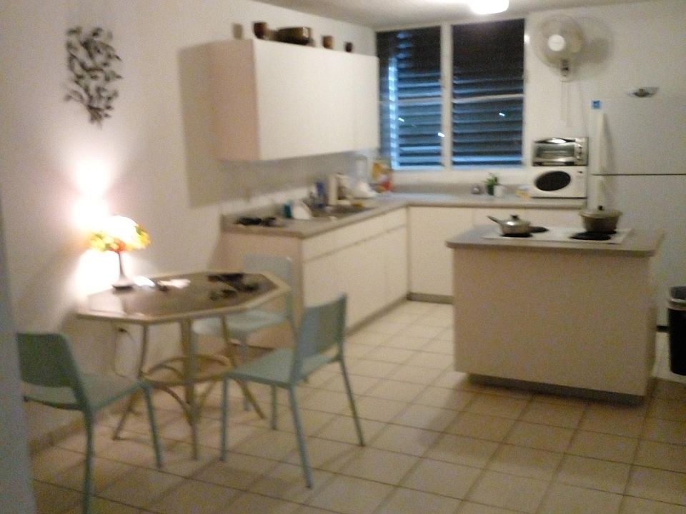 large kitchen fully equiped osterizer microwave air and conventional oven toaster with garden view