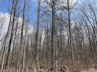 Plank Rd, Orwell, OH 44076