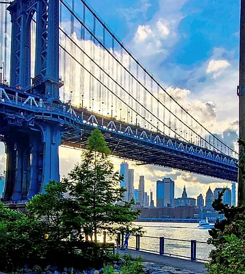 Rented by Owner | media 49