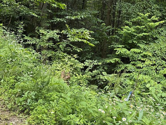 4th image of 56 Butternut Ln Lot 56