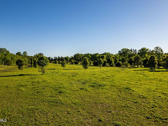 5th image of 360 County Road 788