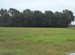 3808 Sunberry Rd, Olanta, SC 29114