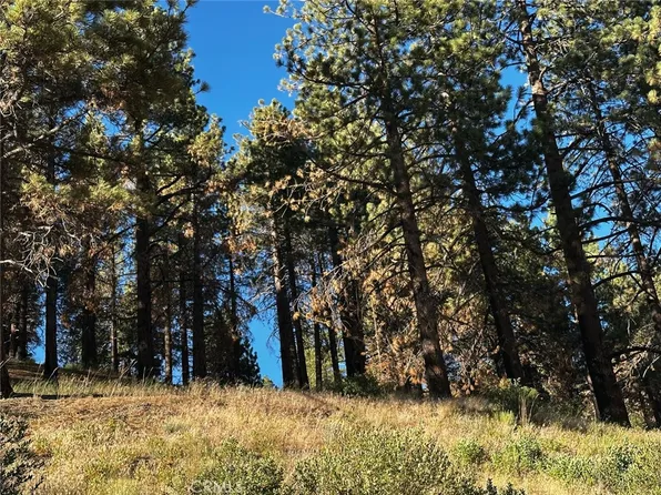 1 Conway Dr Lot 125, Running Springs, CA 92382