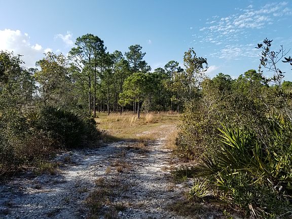 4th image of 3645 Reagan Blvd