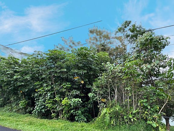 4th image of Malolo St Lot 1022