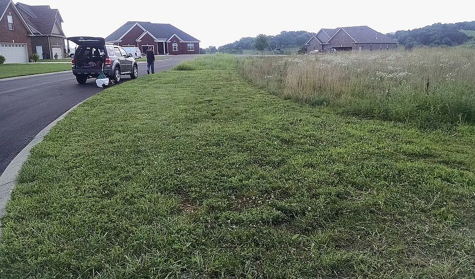 Road frontage