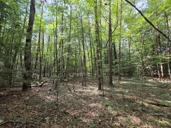 0 Northcutts Cove Rd, Beersheba Springs, TN 37305
