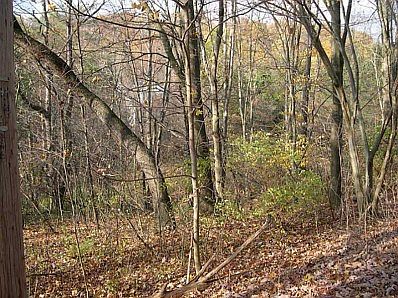 2nd image of 420 Owl Hollow Rd
