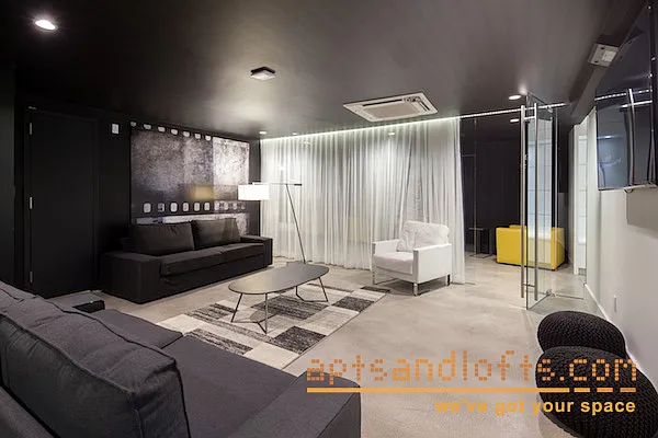 Rented by aptsandlofts.com | media 25