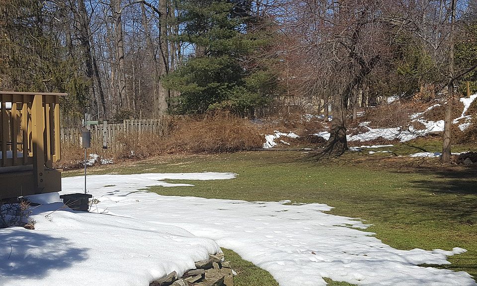 2nd image of 9 Tamarack Dr
