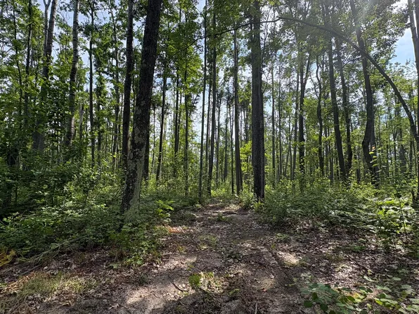 6885 Klein Rd, Hillman, MI 49746