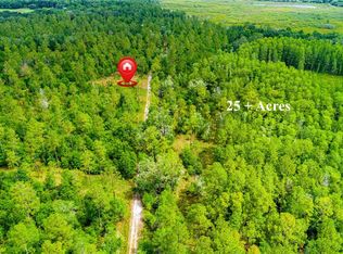 County Road 719, Webster, FL 33597