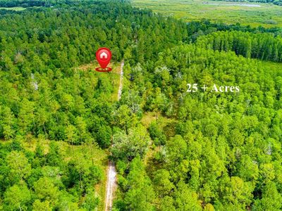 County Road 719, Webster, FL, 33597