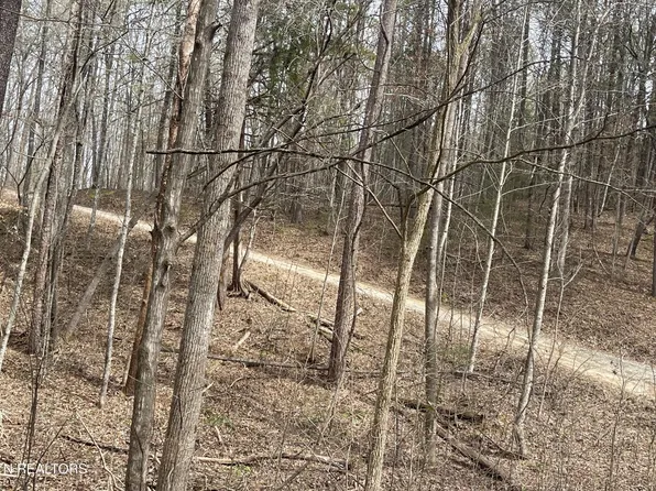 0 New Providence Rd, Tellico Plains, TN 37385