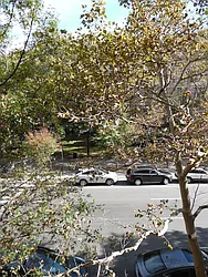 Rented by Love Where You Live Realty