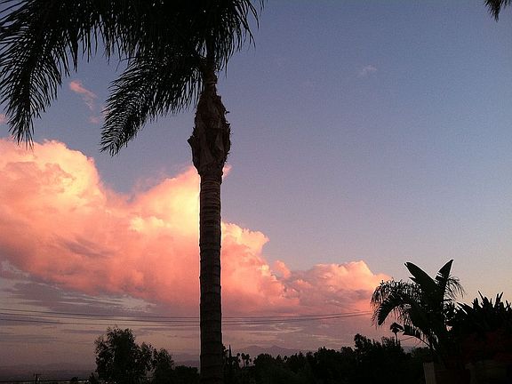 Evening view 