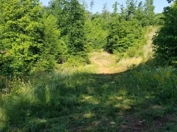 0 Indian Summer Ln, Ferrum, VA 24088