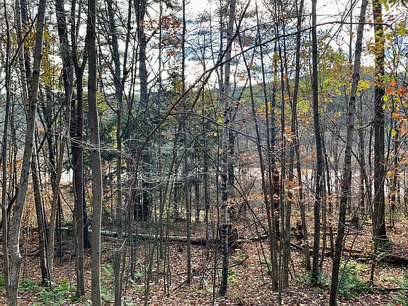 4th image of Lot 3 Peavine Boulevard lot 3