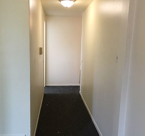 3rd image of 6900 S Michigan Ave #3