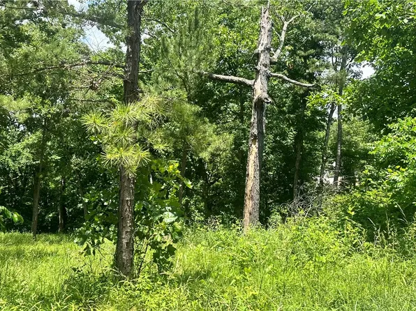 5 White River Ln, Eureka Springs, AR 72631