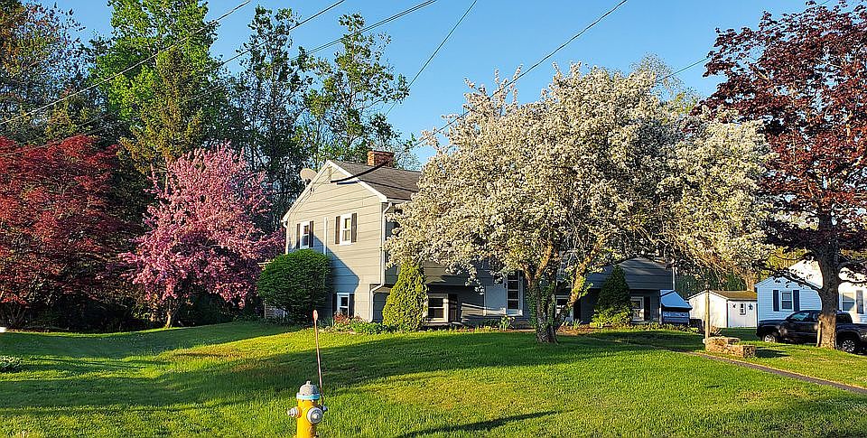 1st image of 14 Green Needle Dr