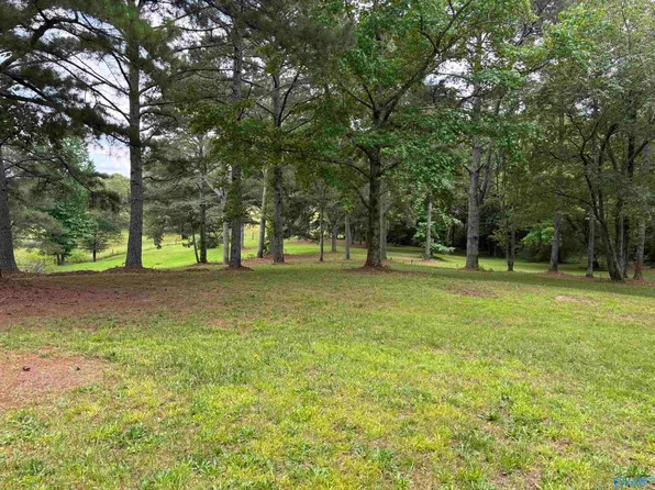 64 Lakeview Dr, Altoona, AL 35952