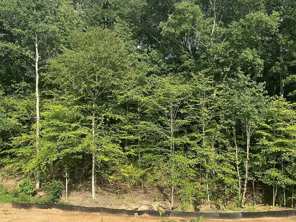 1st image of 554 Summit View Cir Lot 28