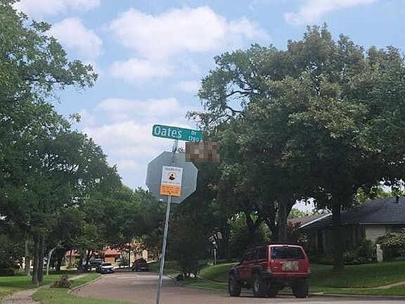 5th image of 2503 Oates Dr