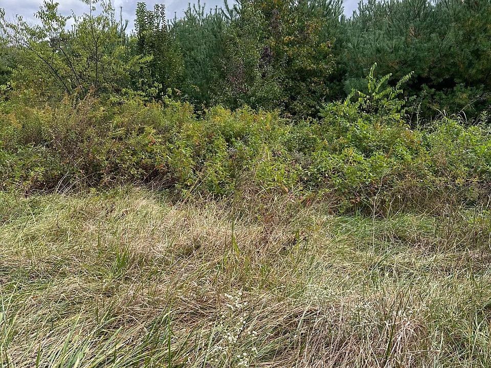 2nd image of LOT 1 Us Highway 411 S