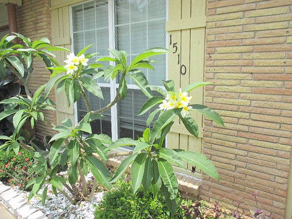 3rd image of 1510 Santa Cecilia Dr