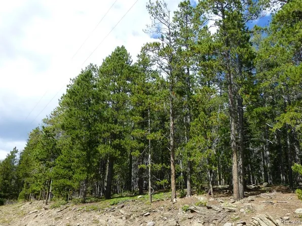 000 Lodgepole Drive, Evergreen, CO 80439