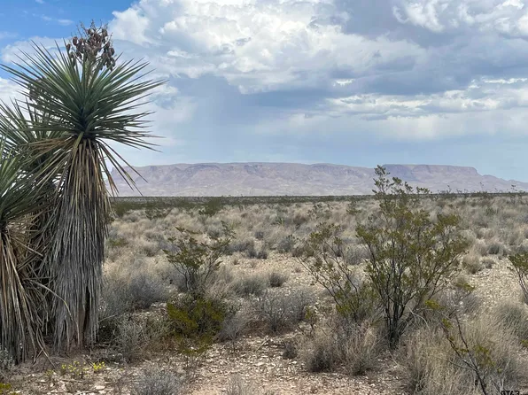 14570 Alpha, Terlingua, TX 79852