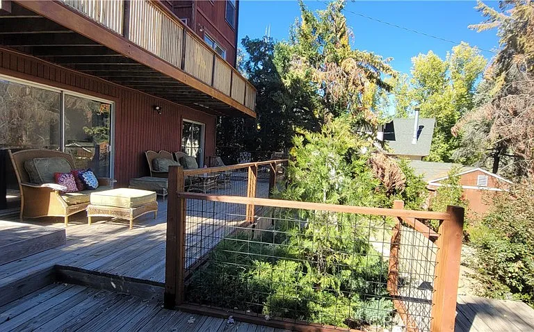 1317 Pinetree Dr — Photo 46