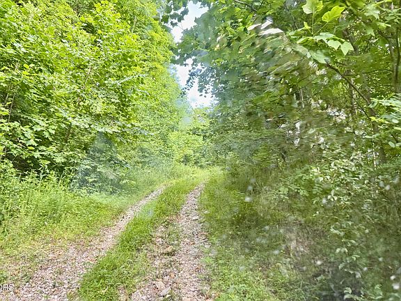 5th image of Marcum Creek Rd