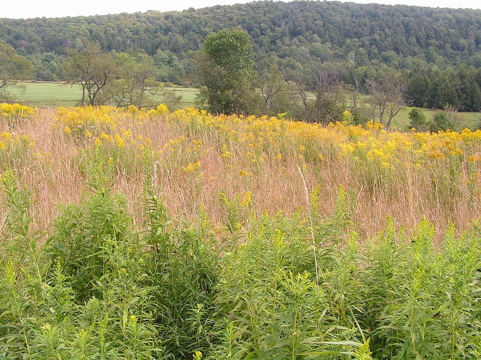 1st image of 930 COUNTY HIGHWAY 38