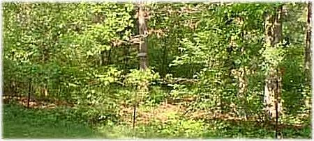 1st image of 7 Shelly Dr
