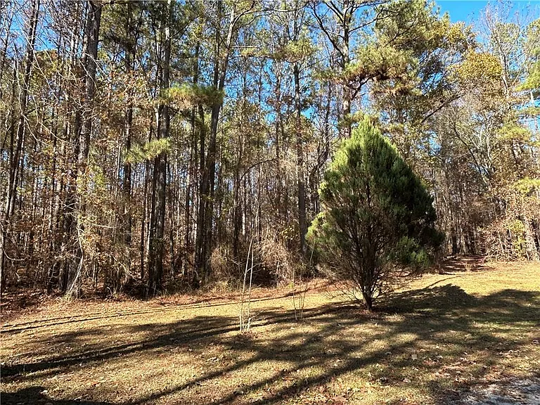 1503 J D Walton Rd — Photo 14