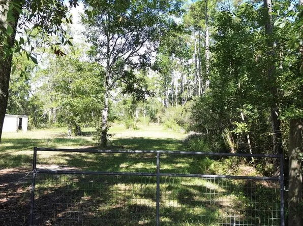 6795 Larimore St, Wewahitchka, FL 32465