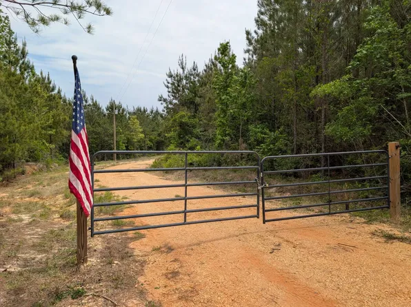 1101 Nixon Rd, Georgiana, AL 36033