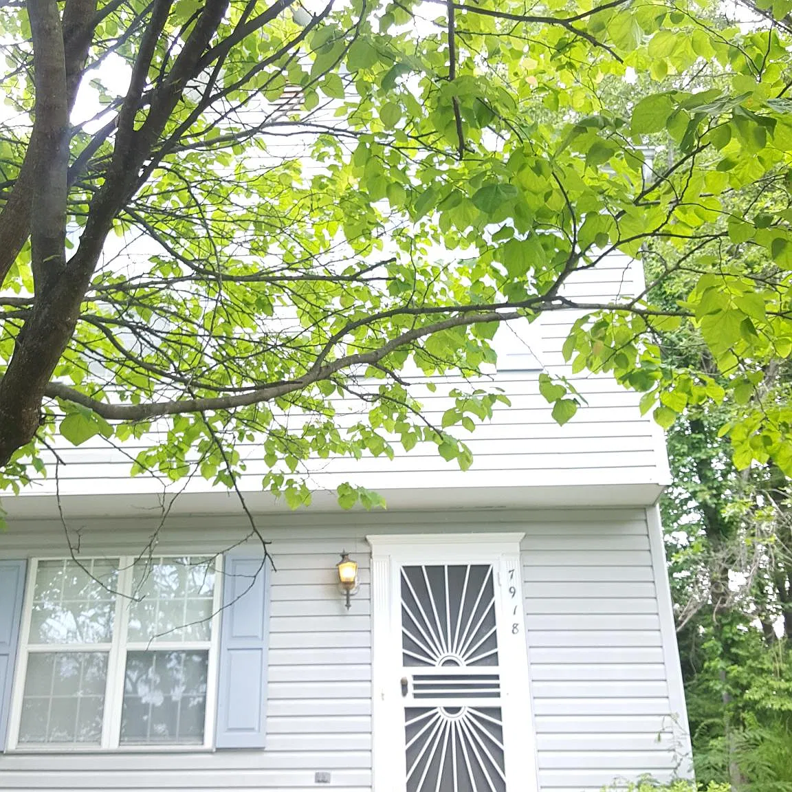 3 bed, 3.5 bath, 1875 sqft, $2,900 — Photo 2