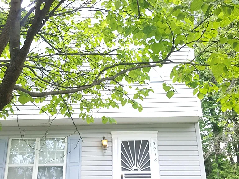 7918 Suiter Way — Photo 2