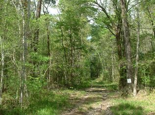 9447 Lucas Dr, Batson, TX 77519