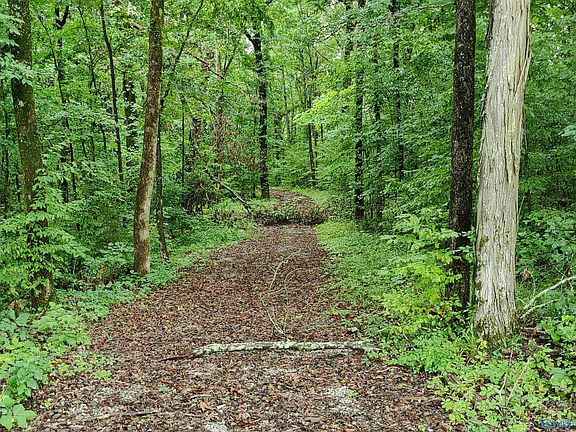 5th image of 1831 Highway 157