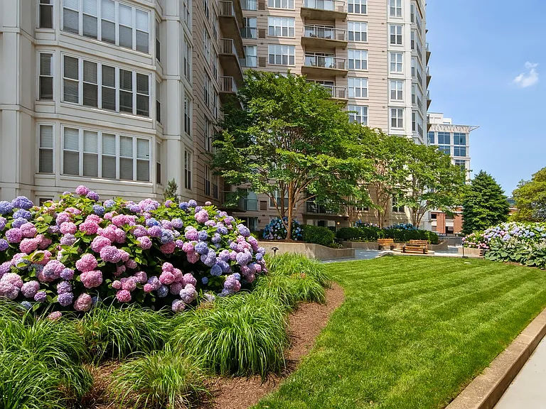 The Promenade at Harbor East — Photo 29