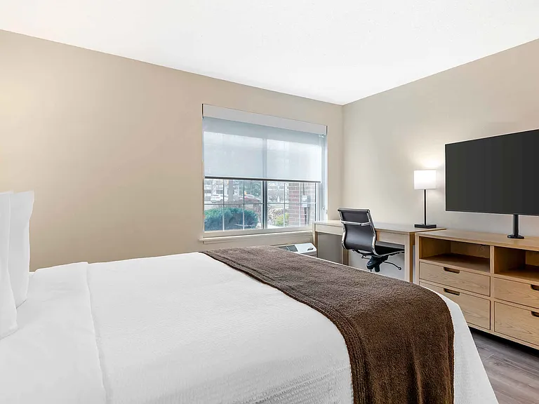 Studio Suite - 1 Queen Bed