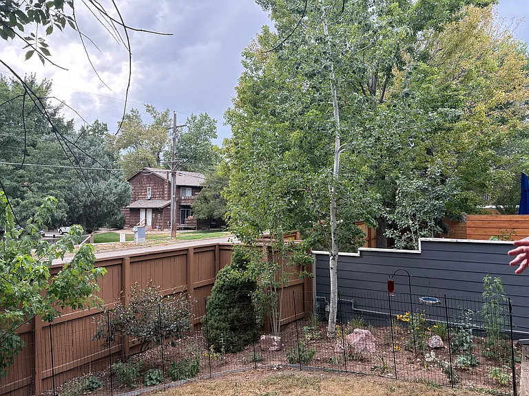 Backyard has native, bird-friendly plants